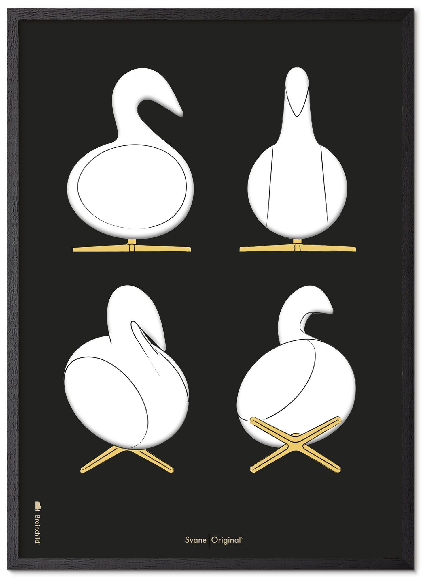 Brainchild Swan Design Szkice Ramka plakatowa wykonana z czarnego lakierowanego drewna 70x100 cm, czarne tło