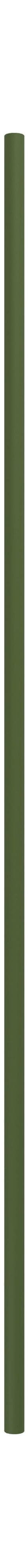 Moebe Shelving System/Wall Shelving Leg 115 Cm, Pine Green