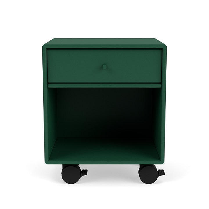 Montana Dream Night Stato z Castors, Pine Green