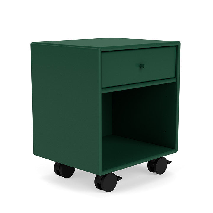 Montana Dream Night Stato z Castors, Pine Green