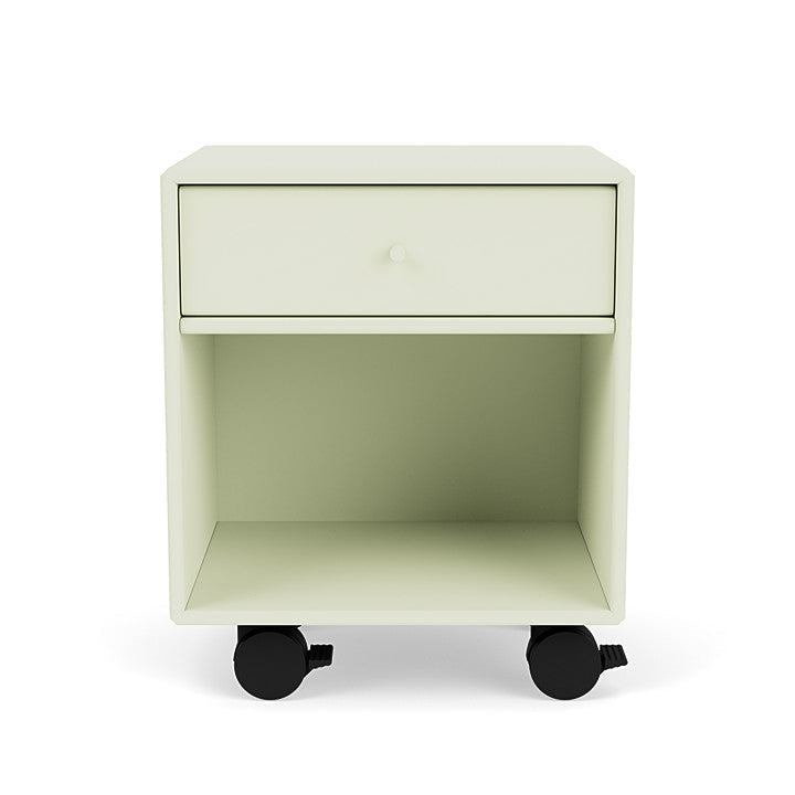 Montana Dream Night Stato z Castors, Pomelo Green