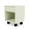 Montana Dream Night Stato z Castors, Pomelo Green