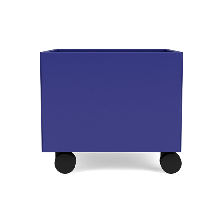 Montana Mini Play Box na Castors, Monarch Blue