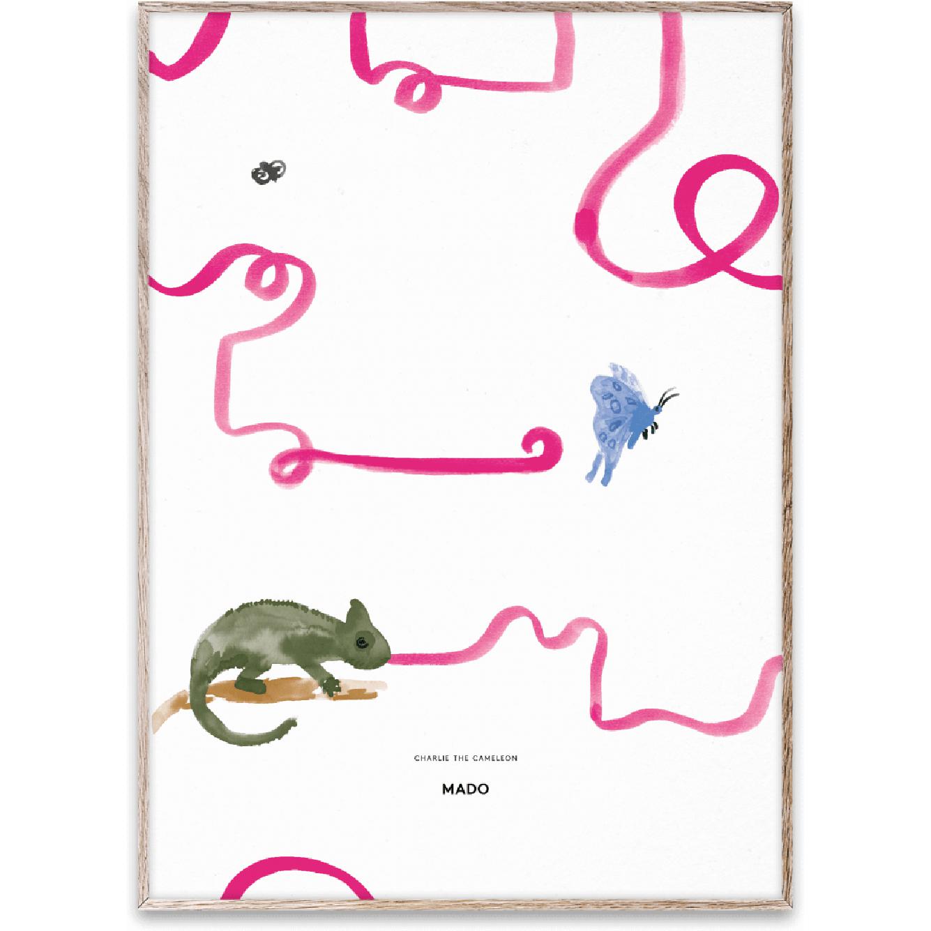 Papierowe kolektyw Charlie The Chameleon Plakat, 50x70 cm