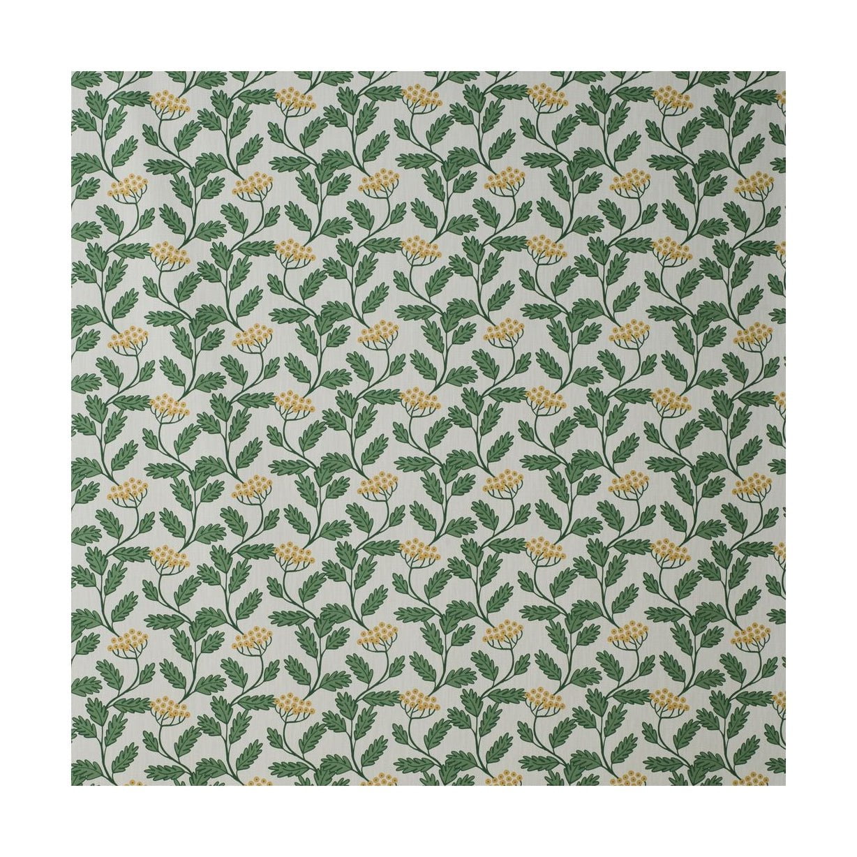 Spira Renfana W szerokość tkaniny 150 cm (cena za metr), zielony