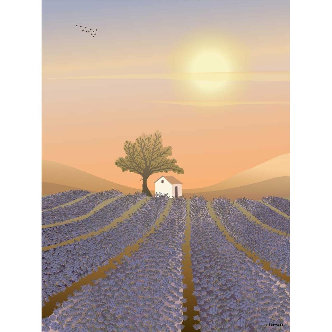 Vissevasse Lavender Field Field Mini Card, A7