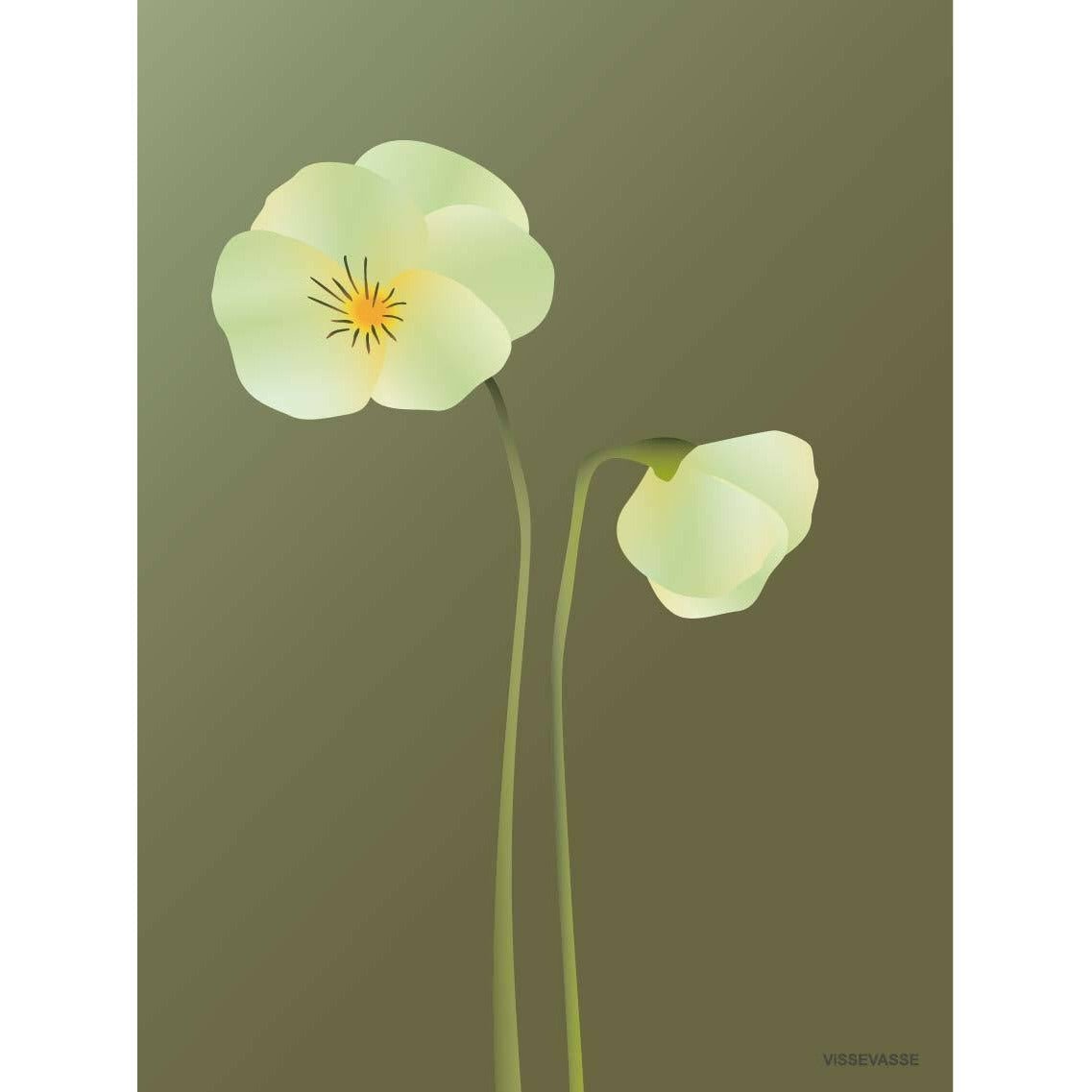 Vissevasse Pansy plakat 30 x 40 cm, zielony